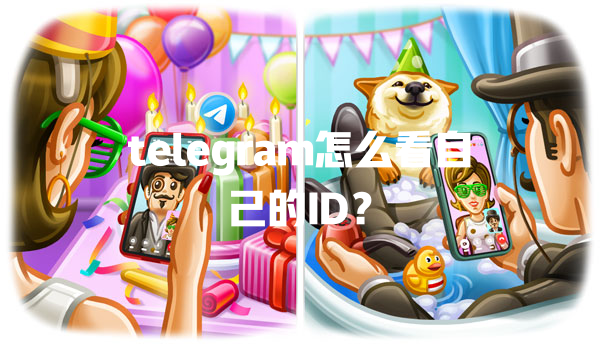 telegram怎么看自己的ID？ 一